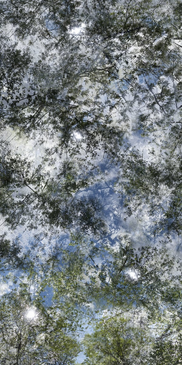 Chih-Chien Wang, Sunny Afternoon 2014 #202_03_L, 2014