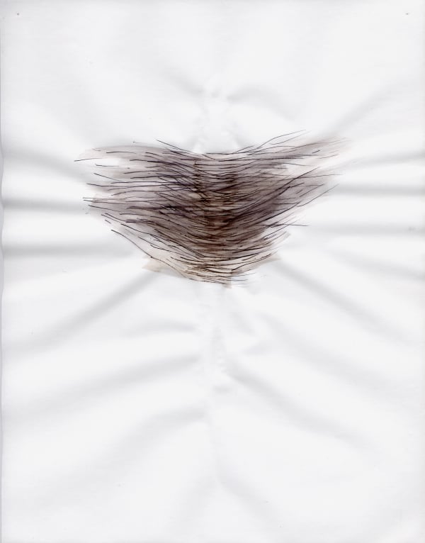 Karilee Fuglem, Connective tissue, 2005