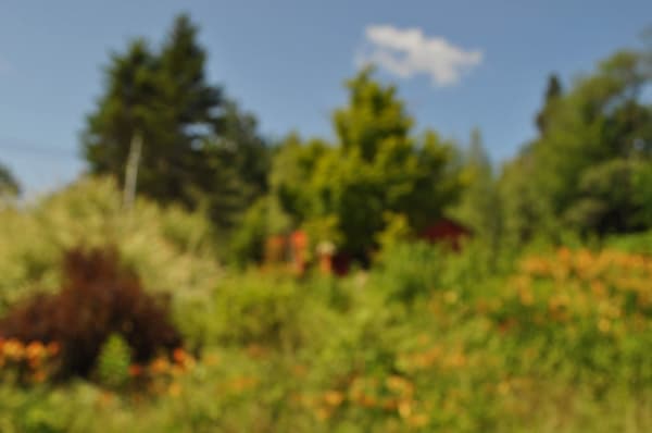 Roberto Pellegrinuzzi, Résonances (21 juillet 2015 10:17), 2015