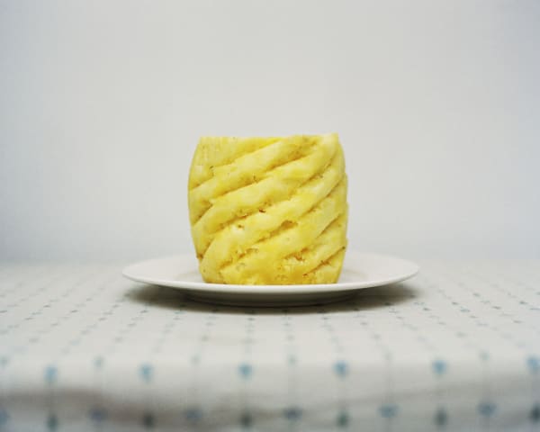 Chih-Chien Wang, Pineapple #7, 2011