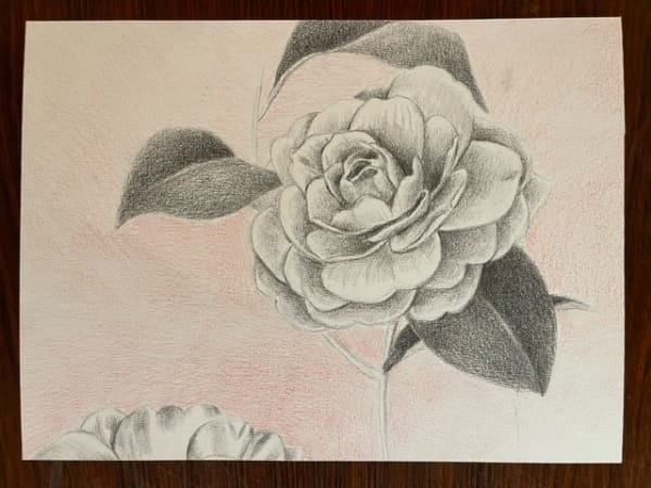 Leila Zelli, Fleur 6, 2023