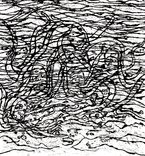 Ed Pien, The Living Sea, 2014