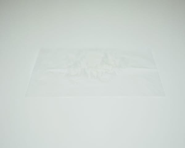 Chih-Chien Wang, Tissue #2, covering wet rice, 2008