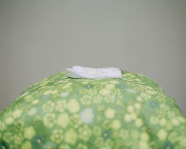 Chih-Chien Wang, Tissue #5, topped with tofu on a pillow, 2008