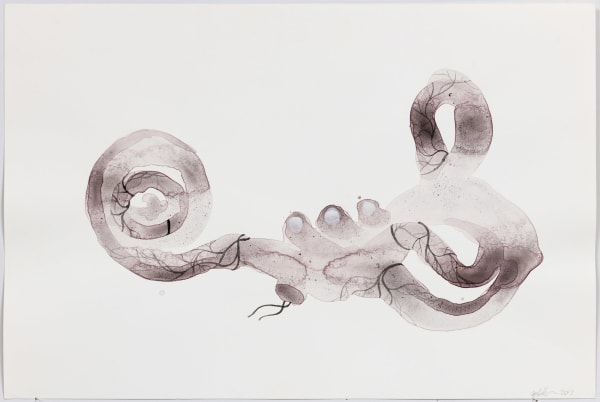 Caroline Boileau, Lecture à l’oreille – canaux auriculaires omniscients (1), 2013