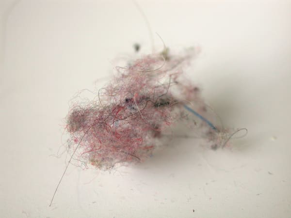 Karilee Fuglem, More Fluff (Particular) A, 2003