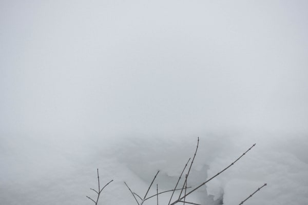 Chih-Chien Wang, Snow and Branches, 2017