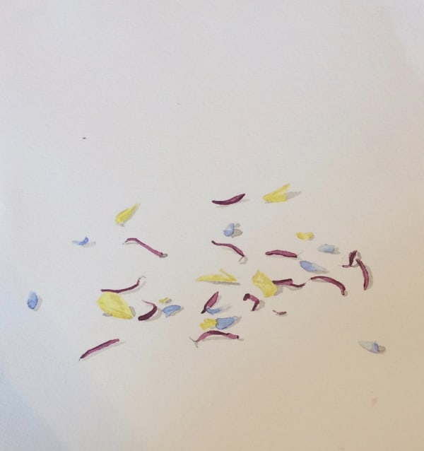 Ripley Whiteside, Petals