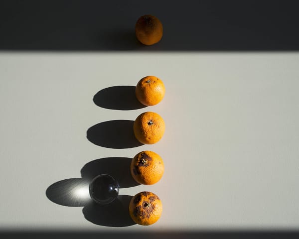 Chih-Chien Wang, Oranges, a Glass Ball and Shadows, 2016