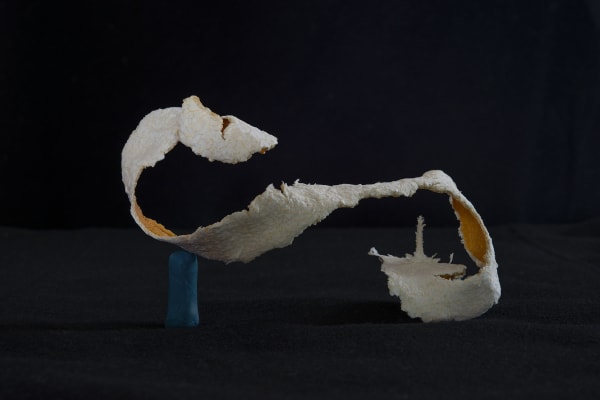 Chih-Chien Wang, Orange Peel Blue Tack, 2020
