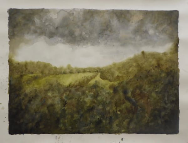 Ripley Whiteside, Acela, 2019