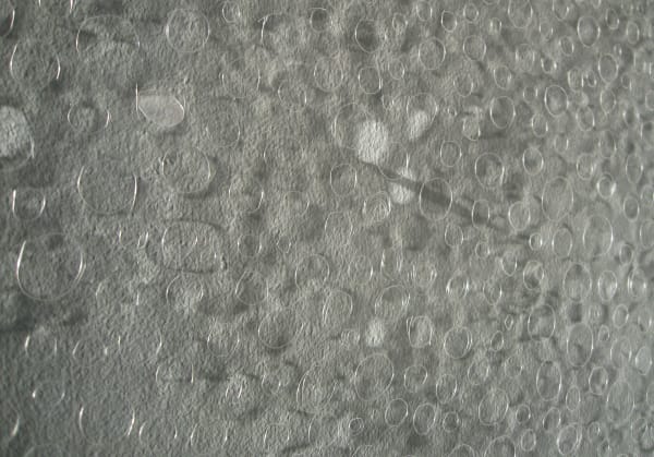 Karilee Fuglem, Studio Light (2009-11-16, 4:41 pm), 2009