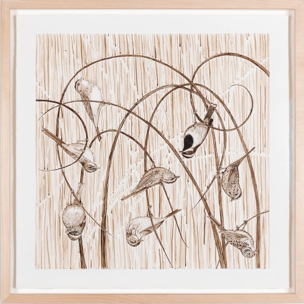 Ripley Whiteside, Upturned Sparrows, 2012