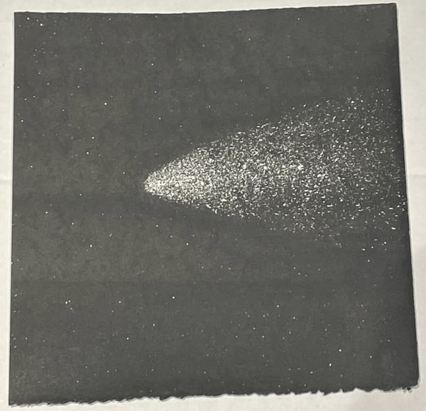 Ripley Whiteside, Asteroid 8, 2022