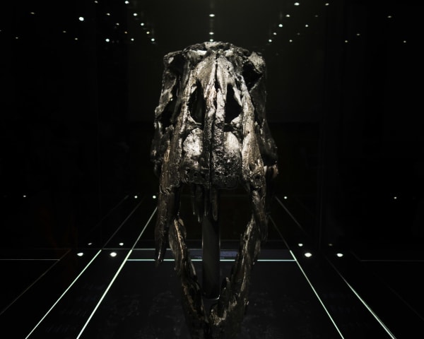 Chih-Chien Wang, Skull and Light, 2016
