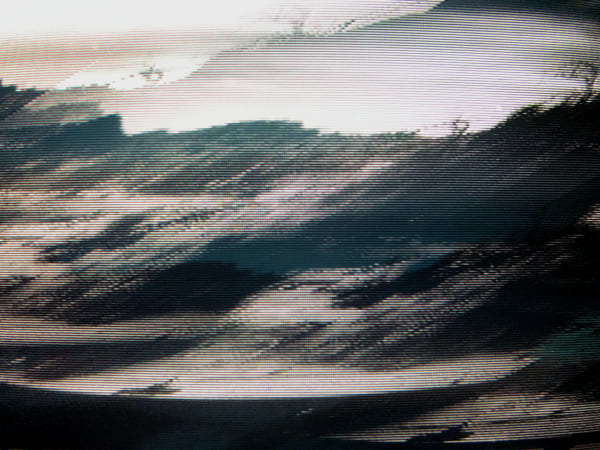 Edward Maloney, Willow Hole (20 x 27"), 2019