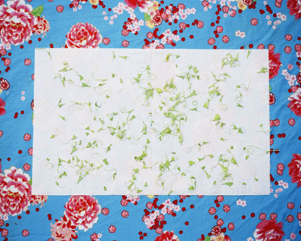Chih-Chien Wang, Tissue #4, topped with bean fiber on table cloth, 2008
