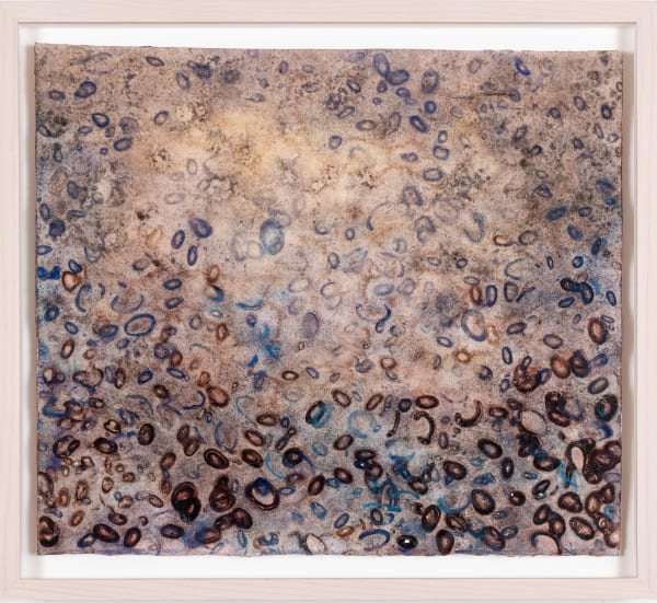 Ripley Whiteside, Phototaxis, 2020