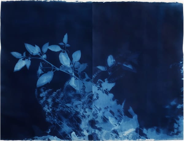 Loren Williams, Deadly nightshade 1, 2022