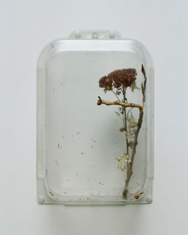 Chih-Chien Wang, Two Items in a box #9, 2012