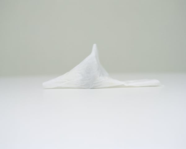 Chih-Chien Wang, Tissue #1, covering eggplant, 2008