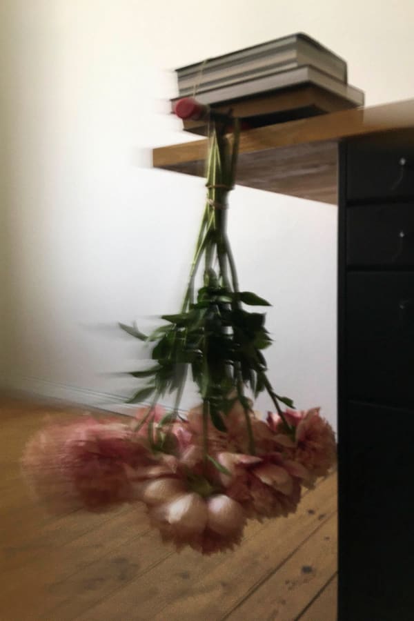 Chih-Chien Wang, Hung Flowers, 2023