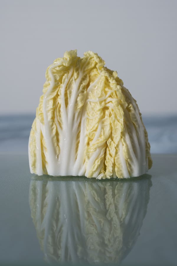 Chih-Chien Wang, What You Found Only Exists in Another World : Iceberg, 2018