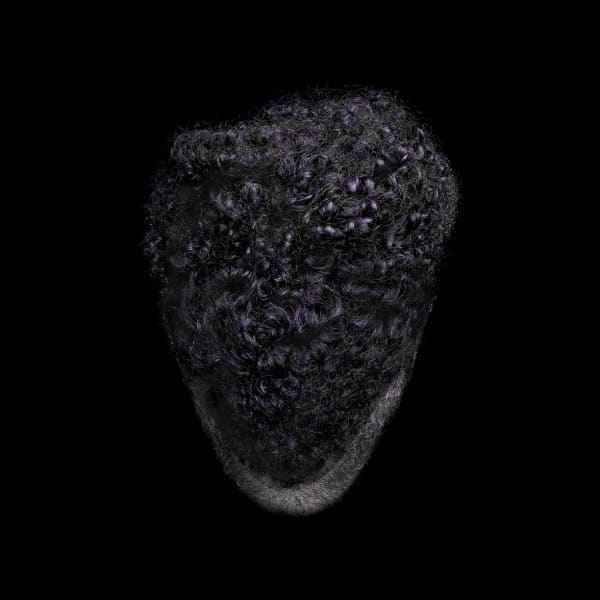 Stephane Alexis, Frohawk no. 1, 2020