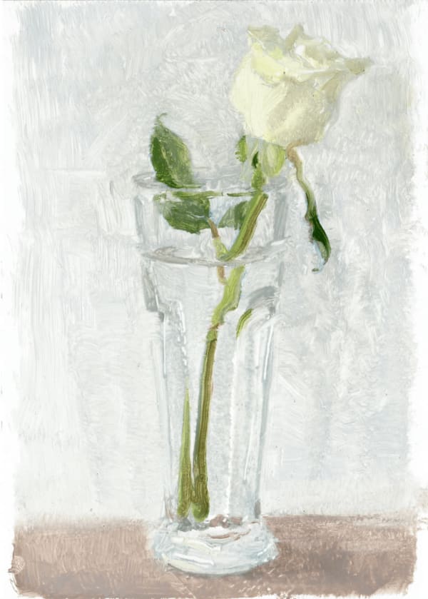 White Rose