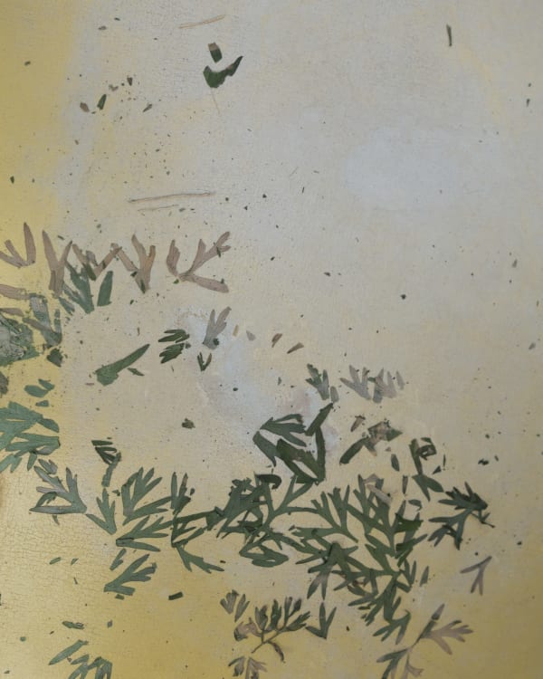 Chih-Chien Wang, Flattened Leaves, 2016