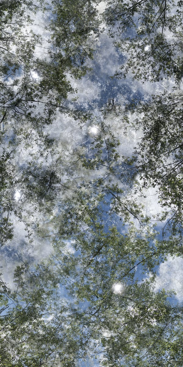 Chih-Chien Wang, Sunny Afternoon 2014 #202_03_R , 2014