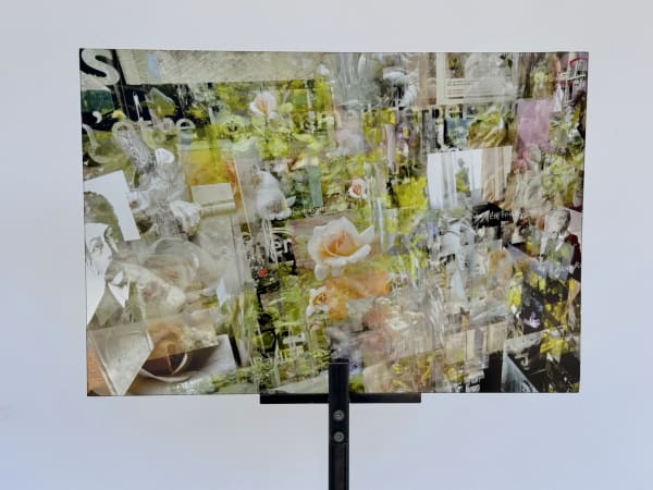 Luc Courchesne, Wien Chiaroscuro – Extrait Niveau 1, Roses (version 16.5 x 24), 2025