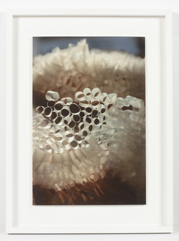 Karilee Fuglem, Untitled, 2013