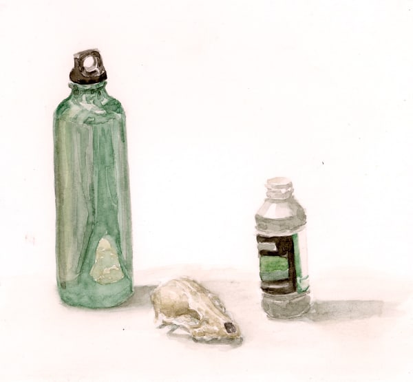 Ripley Whiteside, Matte Medium, 2016