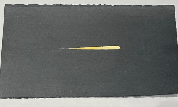 Ripley Whiteside, Asteroid 7, 2022