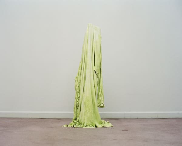 Chih-Chien Wang, Green Cloth #3, 2007
