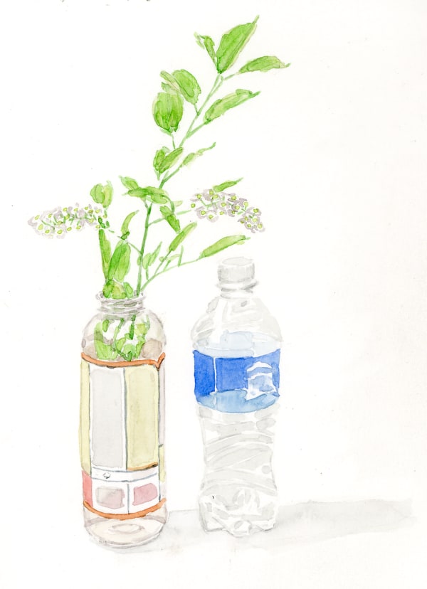 Ripley Whiteside, Bradford Pear, 2016