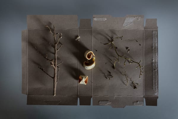 Chih-Chien Wang, Stems And Orange Peels On Cardboard, 2020