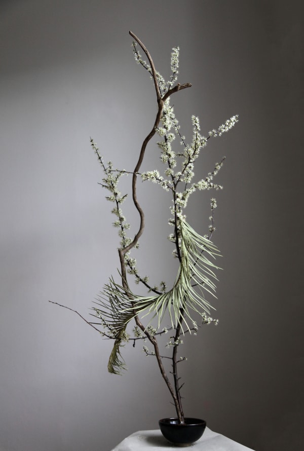 Hypocrite et printanière, 2019 Impression au jet d'encre sur Canson Etching Rag 310 gsm / Ink Jet Print on Canson Etching Rag 310 gsm Benny Nemer 17 3/4 x 11 3/4 in 45 x 30 cm Ed. 5 + 2 AP