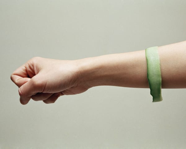 Chih-Chien Wang, Arm with Apple Skin, 2007