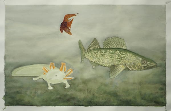 Ripley Whiteside, Dollard-des-Ormeaux, 2015