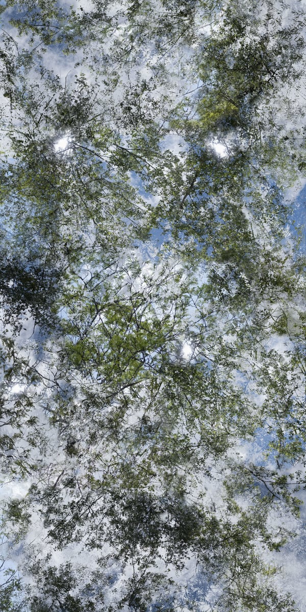 Chih-Chien Wang, Sunny Afternoon 2014 #101_06_R, 2014