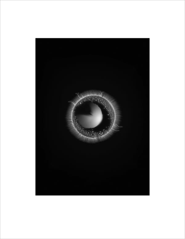 Marie-Jeanne Musiol, Corps de lumière no 731 (Cercle de métal) / Bodies of Light no. 731 (Metal ring), 2022