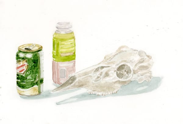 Ripley Whiteside, Deer Skull, 2016