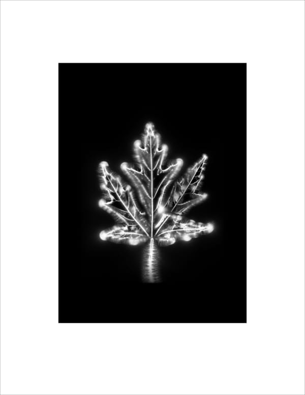 Marie-Jeanne Musiol, Corps de lumière no 1133 (Érable) / Bodies of Light no. 1133 (Maple), 2024