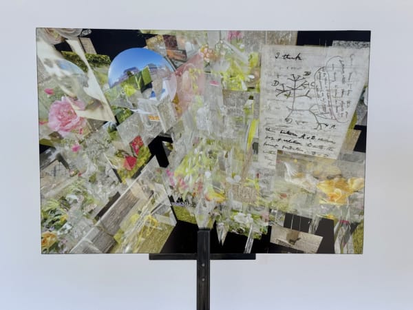 Luc Courchesne, Wien Chiaroscuro – Extrait Niveau 2, Diagramme de Darwin (version 16.5 x 24), 2025