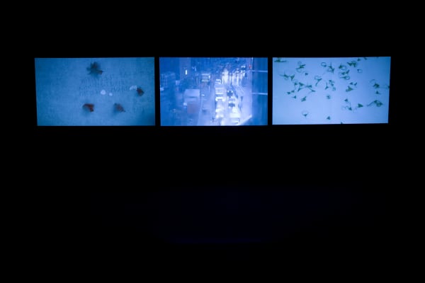 Chih-Chien Wang, Time Measurement #3, #4, #5: “Illustrating the time of peeling bean fibers”, 2008