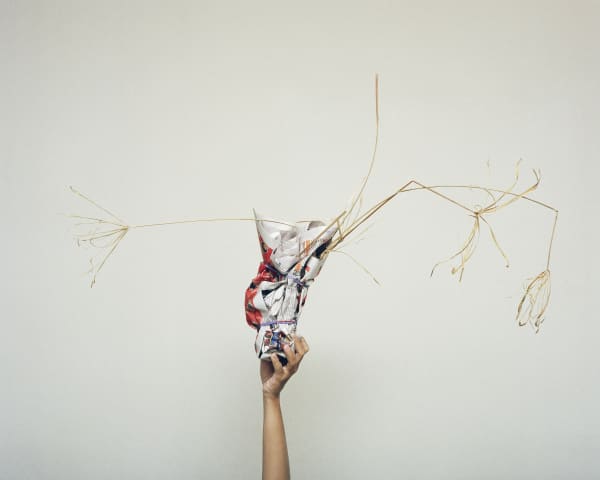 Chih-Chien Wang, Dry Grass Pack, 2007