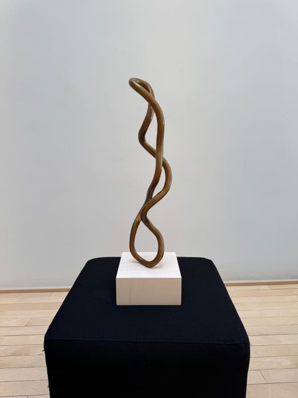 Roberto Pellegrinuzzi, Trajectoires (Torsade 7), 2025