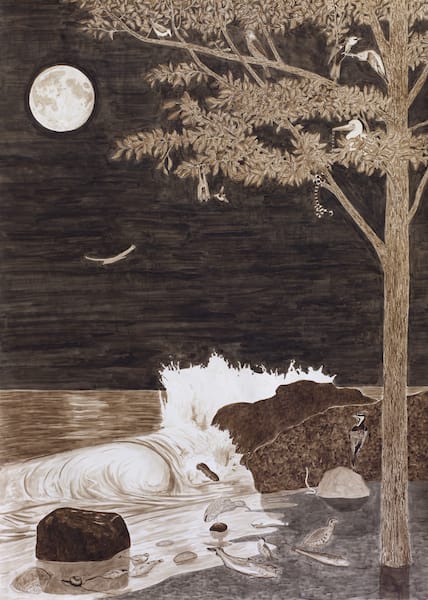 Ripley Whiteside, At the Littoral Zone